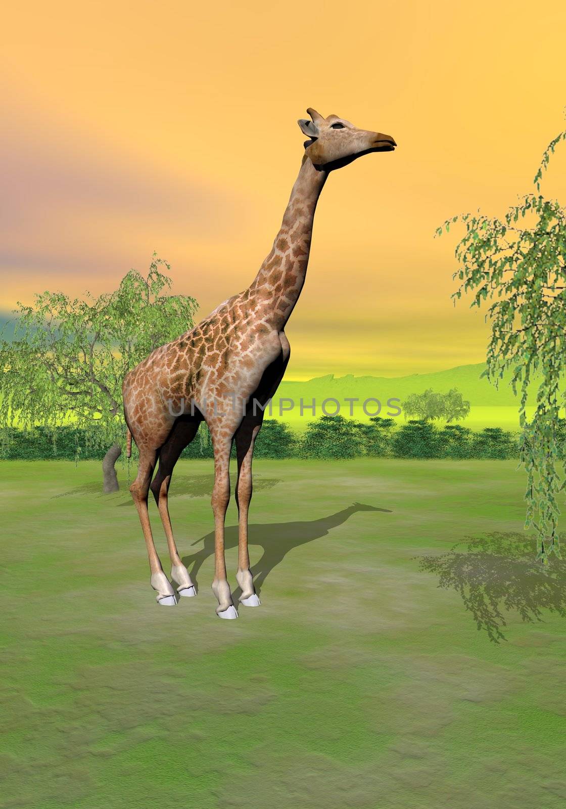 Giraffe in the savannah - 3D render by Elenaphotos21