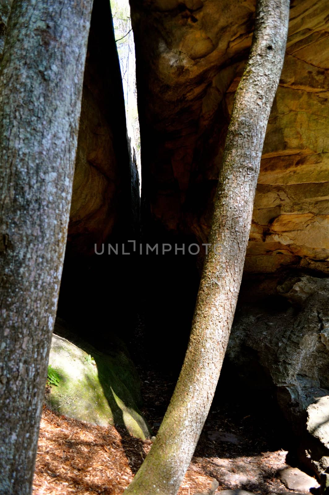 See Rock City 14 by RefocusPhoto