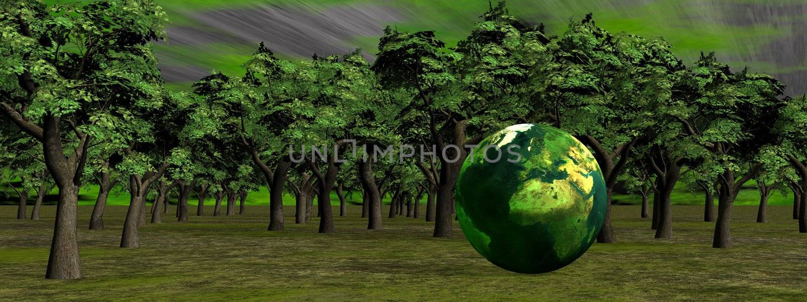 Small earth in front of deep green forest
