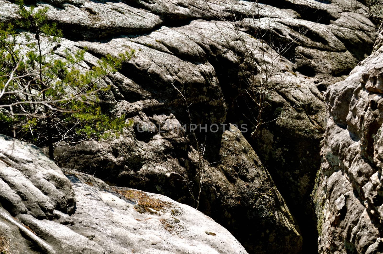 Boulders and Branches
