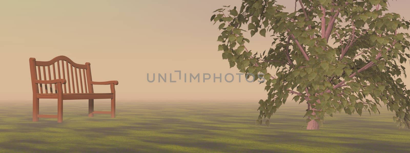 Bench alone in front of one tree by foggy weather