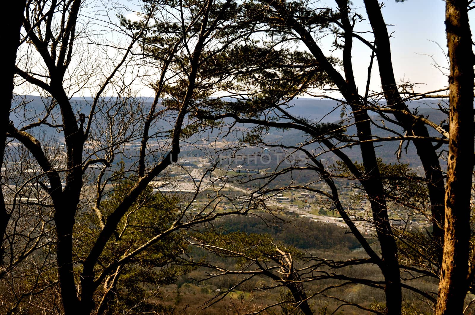 Trees over Chattanooga by RefocusPhoto