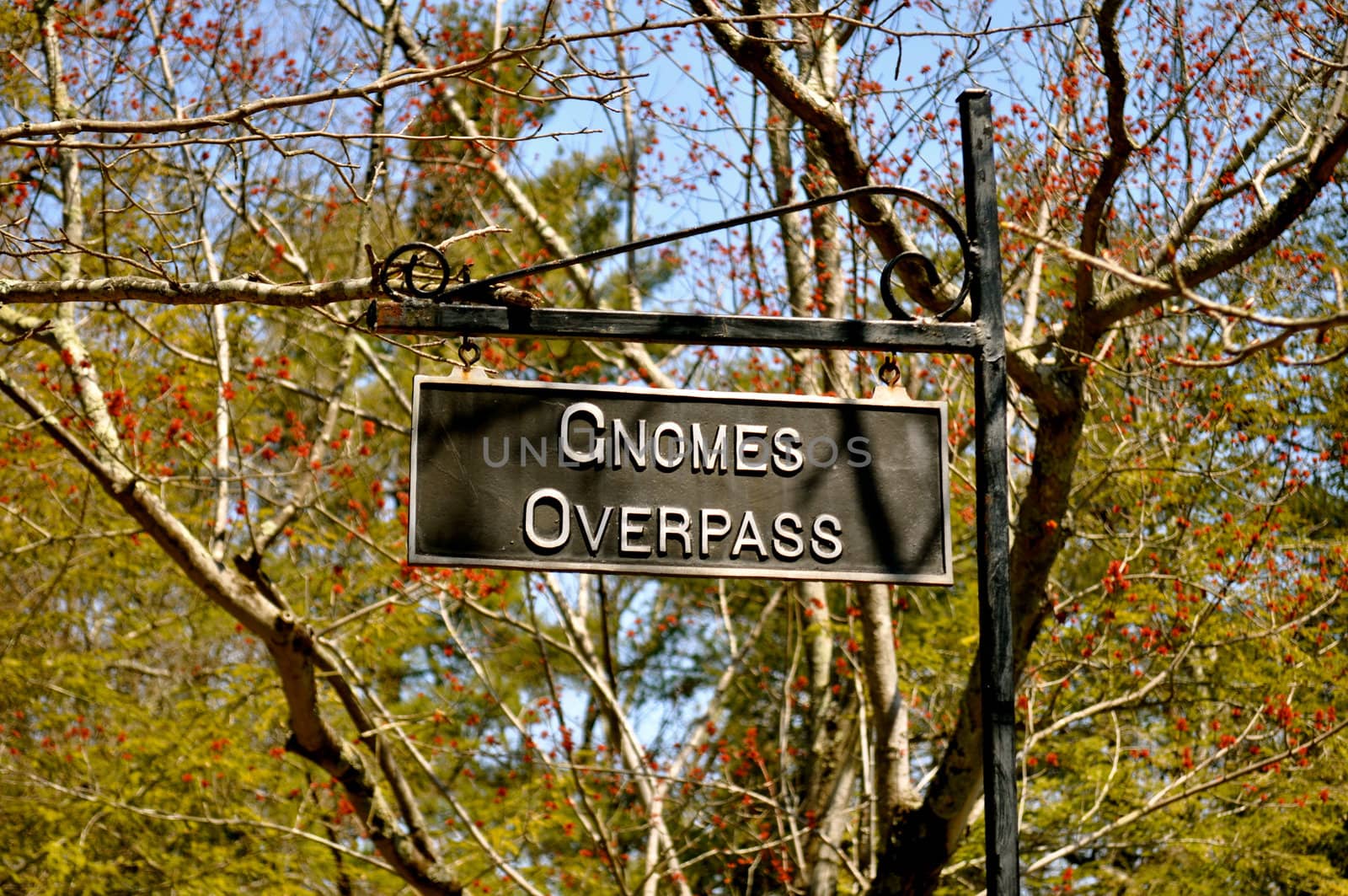 Gnomes Overpass
