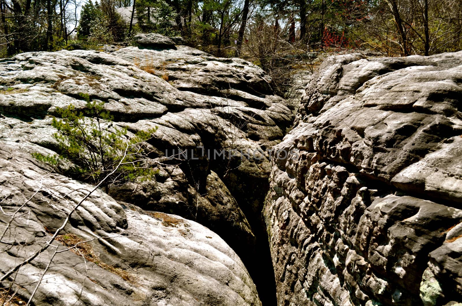 Boulders on Rock City
