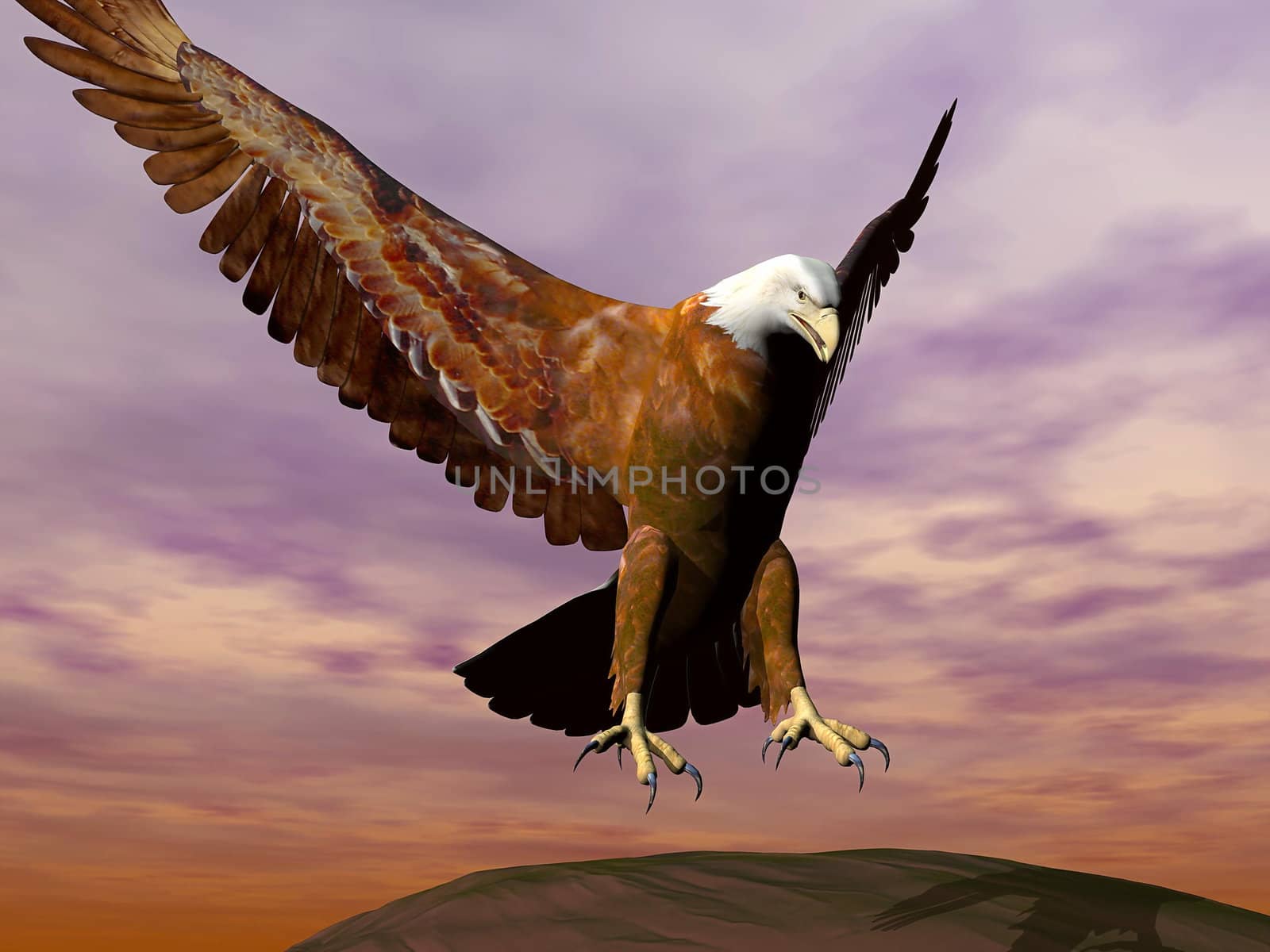 Eagle landing - 3D render by Elenaphotos21