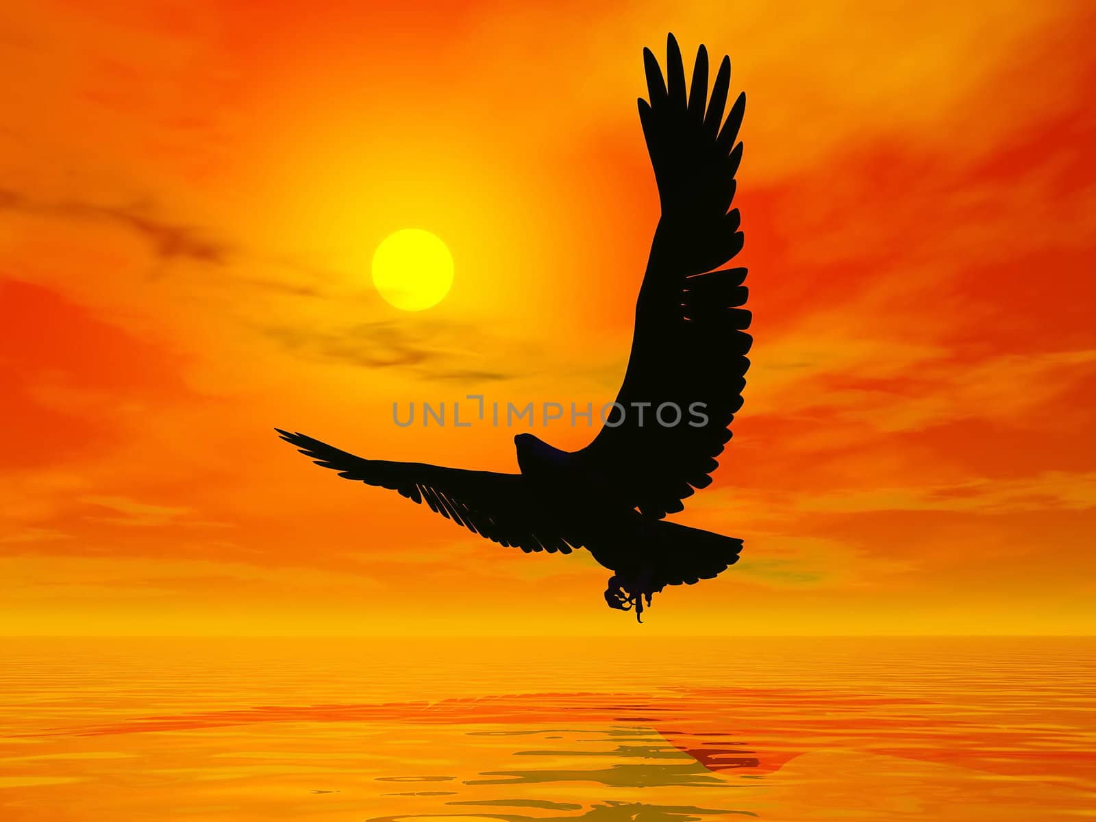 Eagle by sunset - 3D render by Elenaphotos21