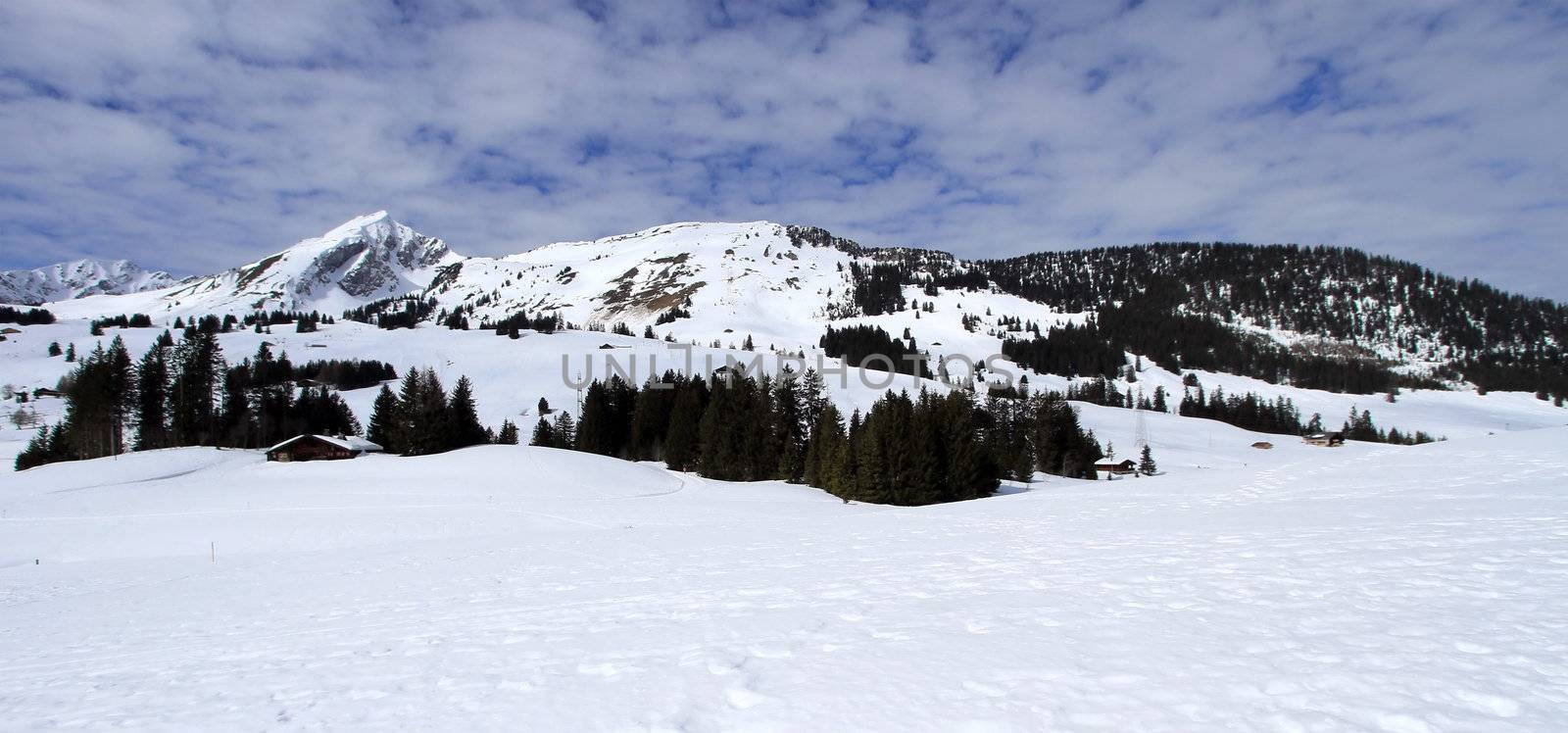 View on Mosses winter landscape by cloudy day, Vaud, Switzerland