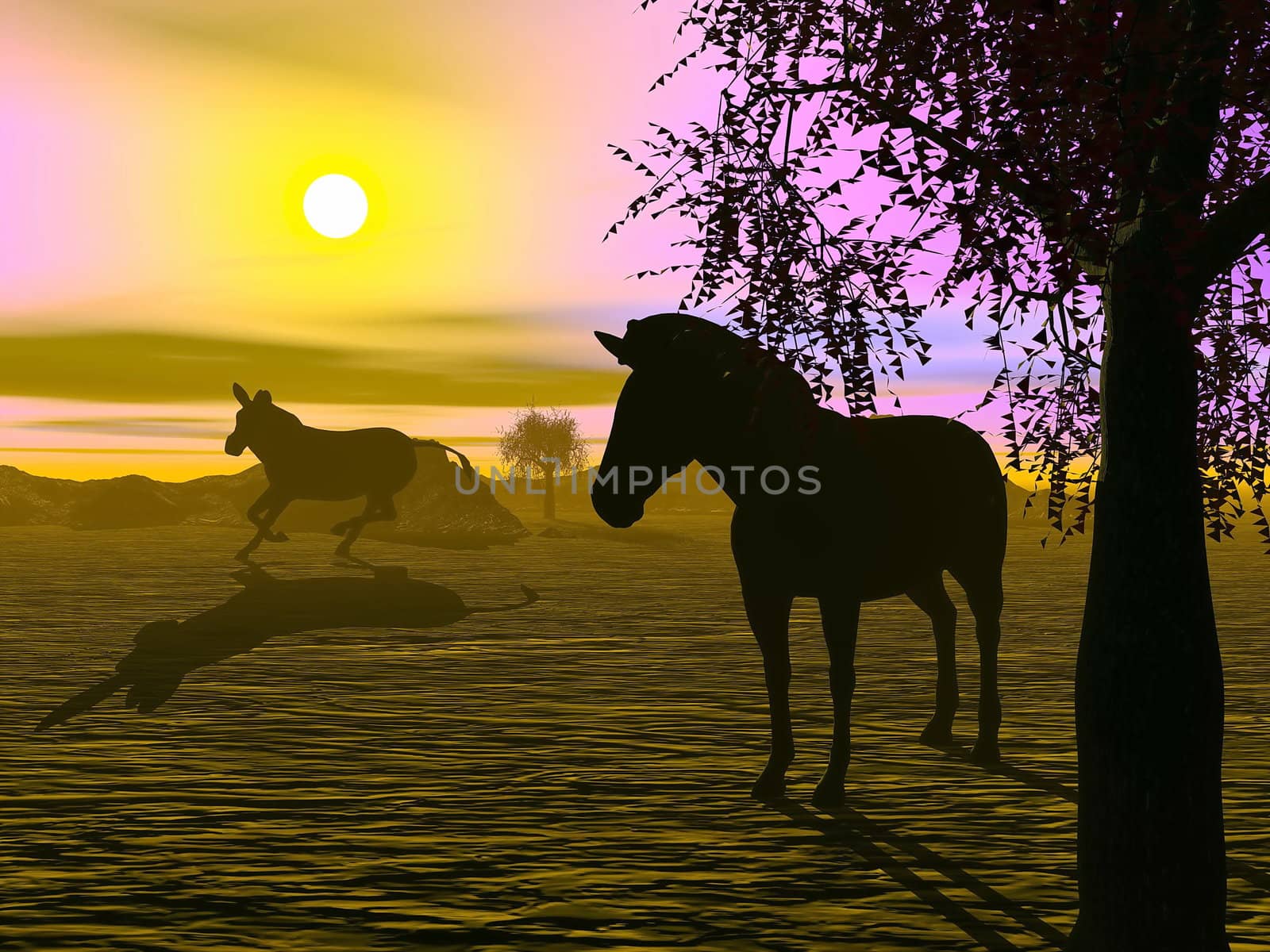 Zebras by sunset - 3D render by Elenaphotos21
