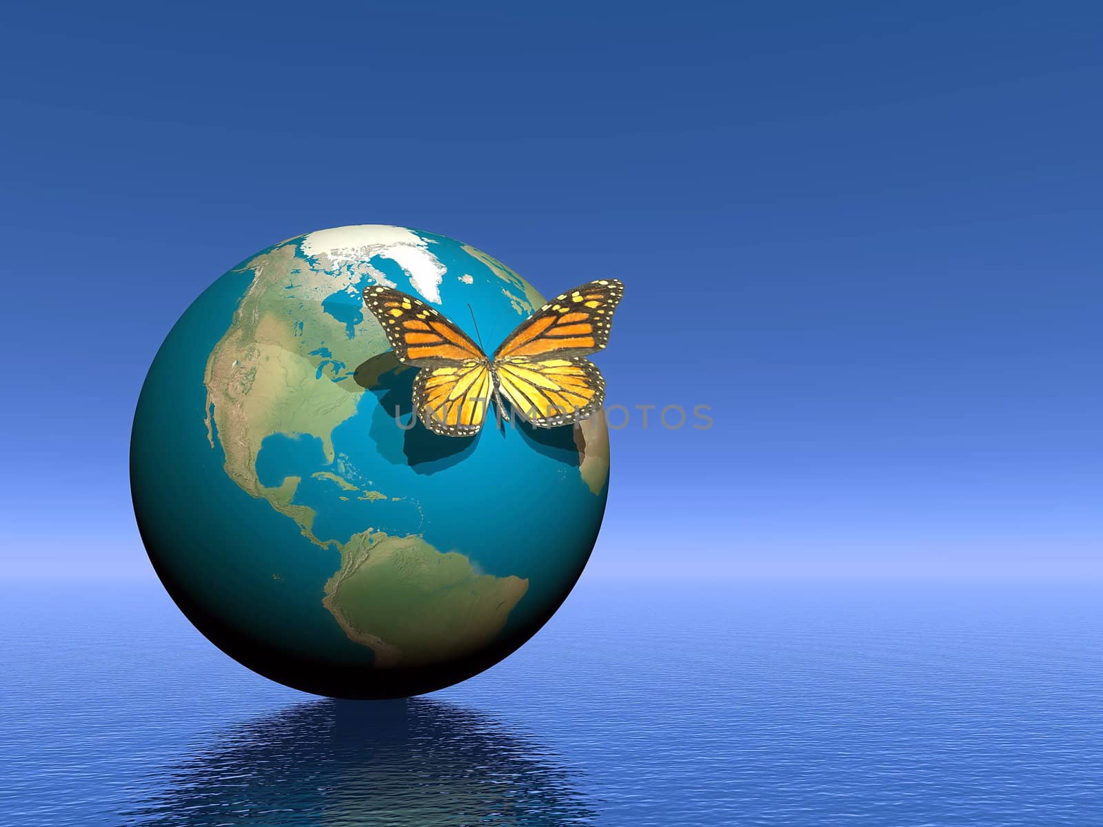 Beautiful moarch butterfly standing on the earth in blue background