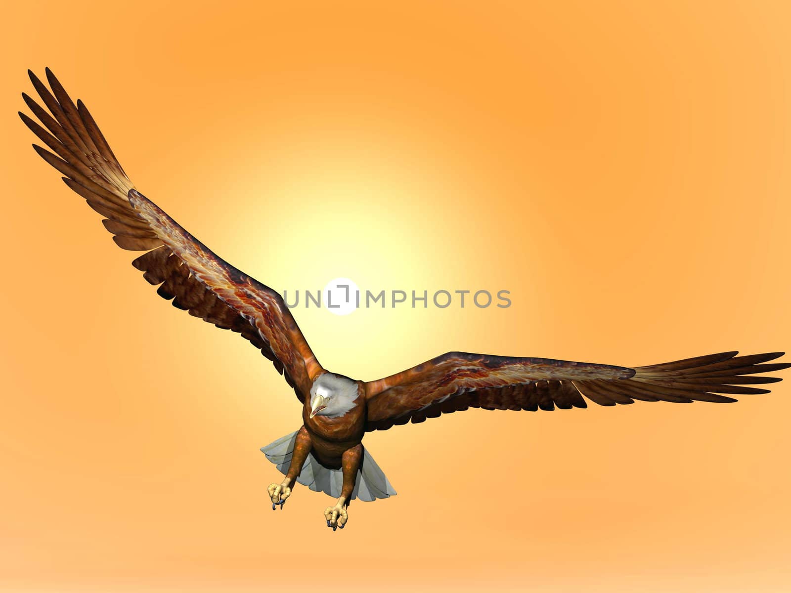 Eagle by sunset - 3D render by Elenaphotos21