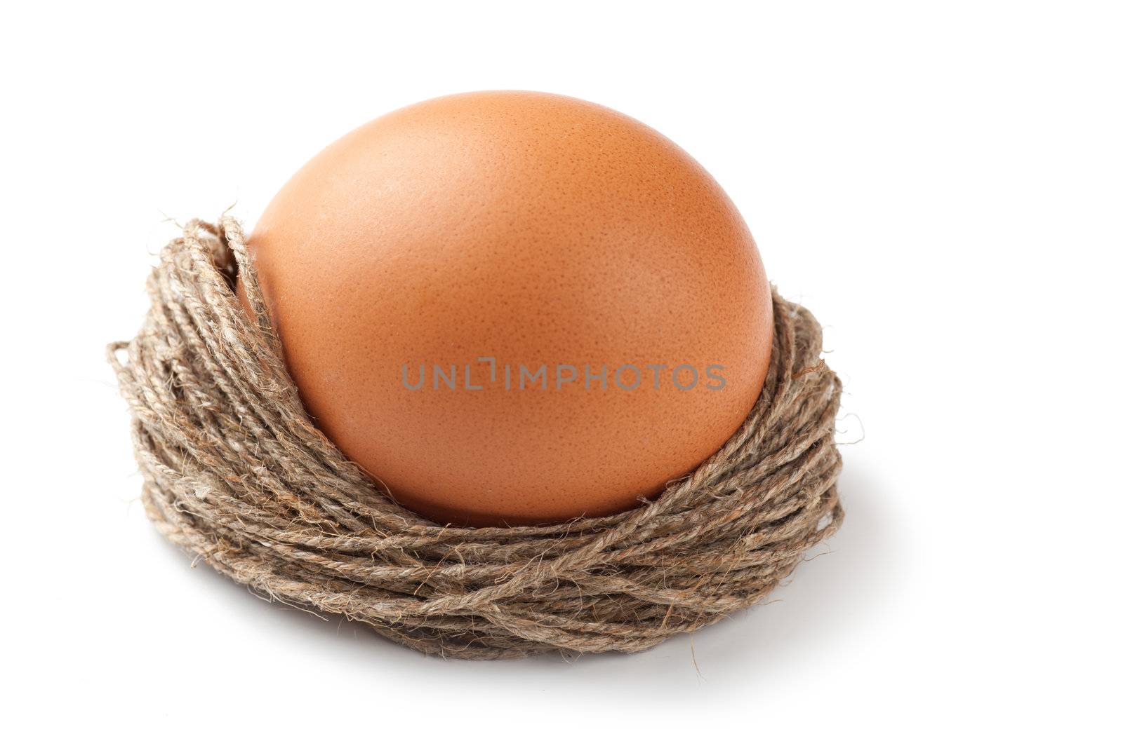 Macro view of brown egg isolated on the white