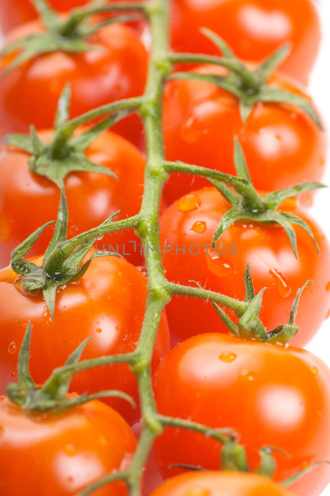 Closeup view of fresh ripe cherry tomatoes on a branch