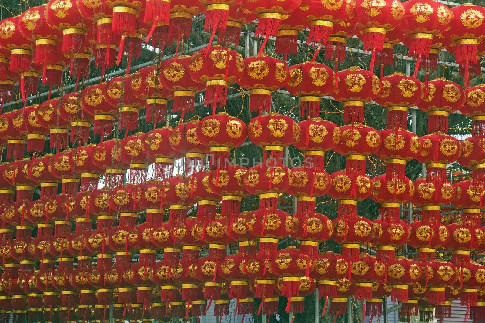 Chinese New Year red lanterns hanging high above by xfdly5