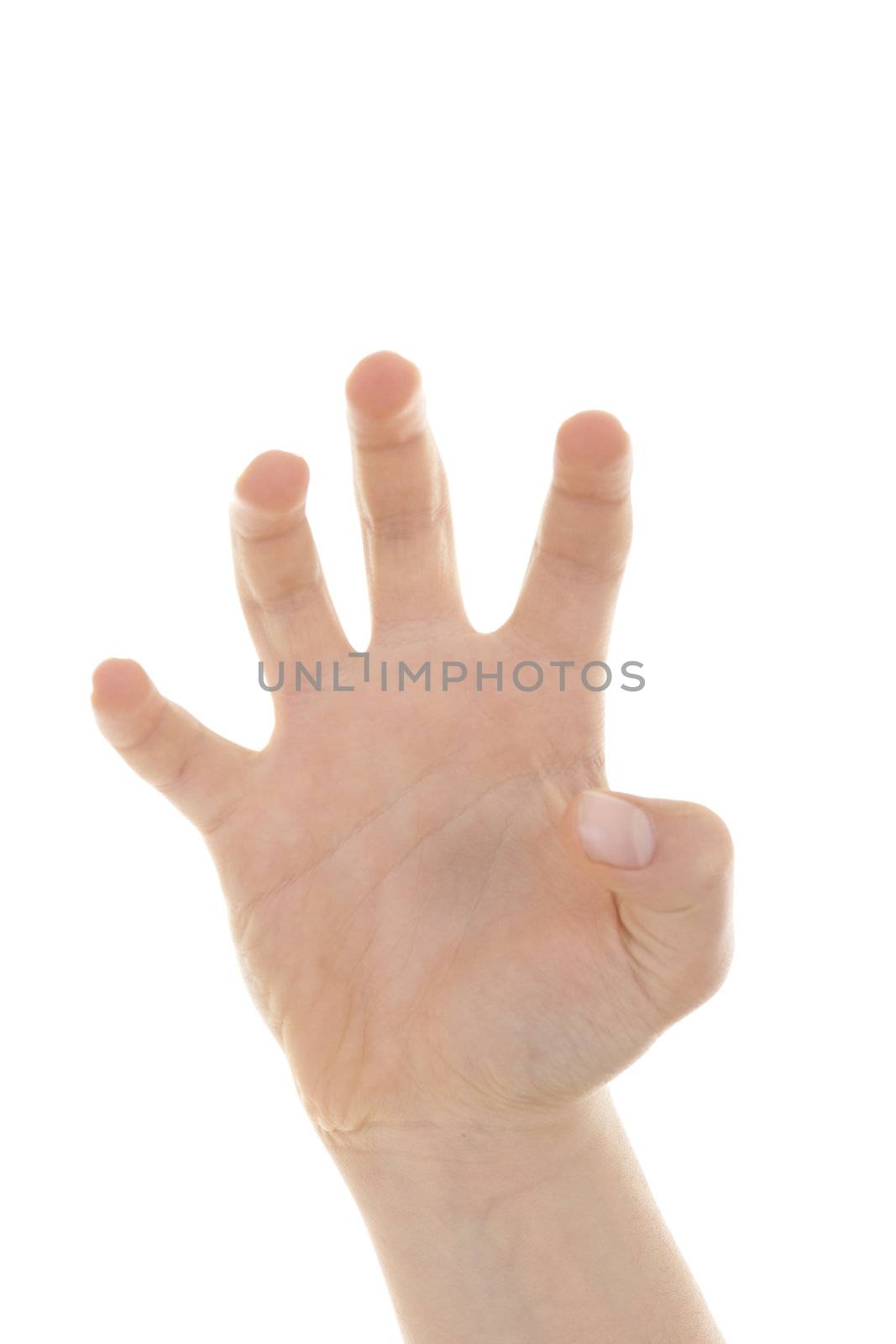 Various signs hands and palms isolated on white background