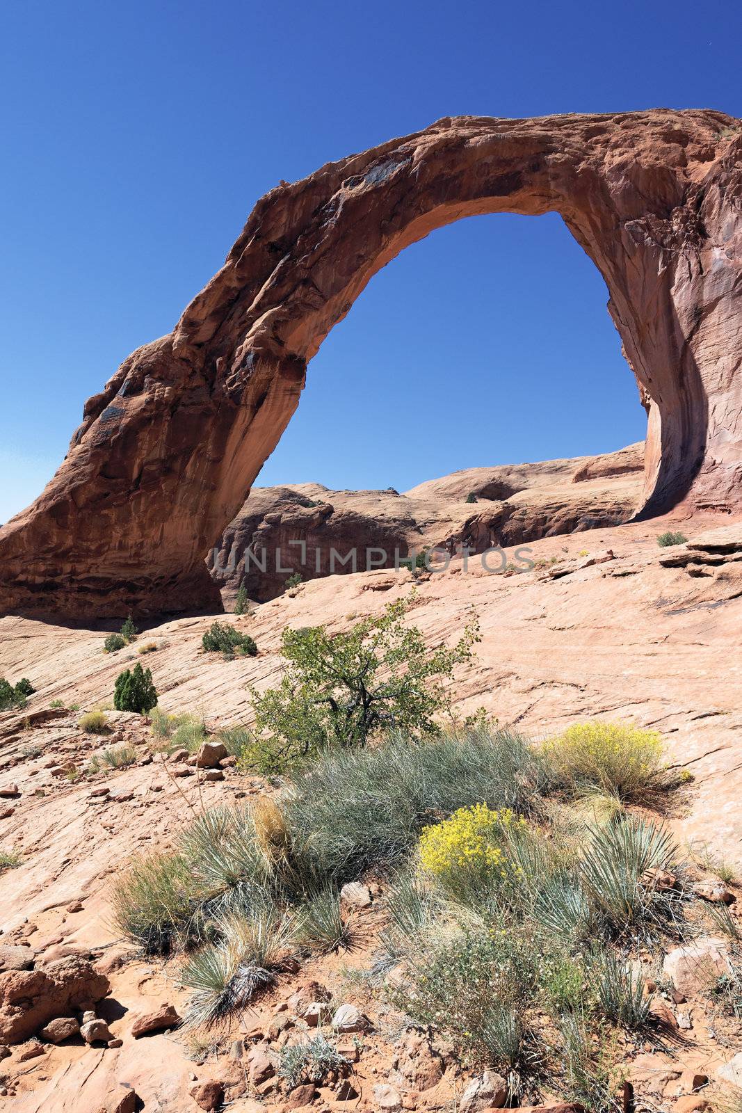 Vertical view of Corona Arch in Southern Utah, USA