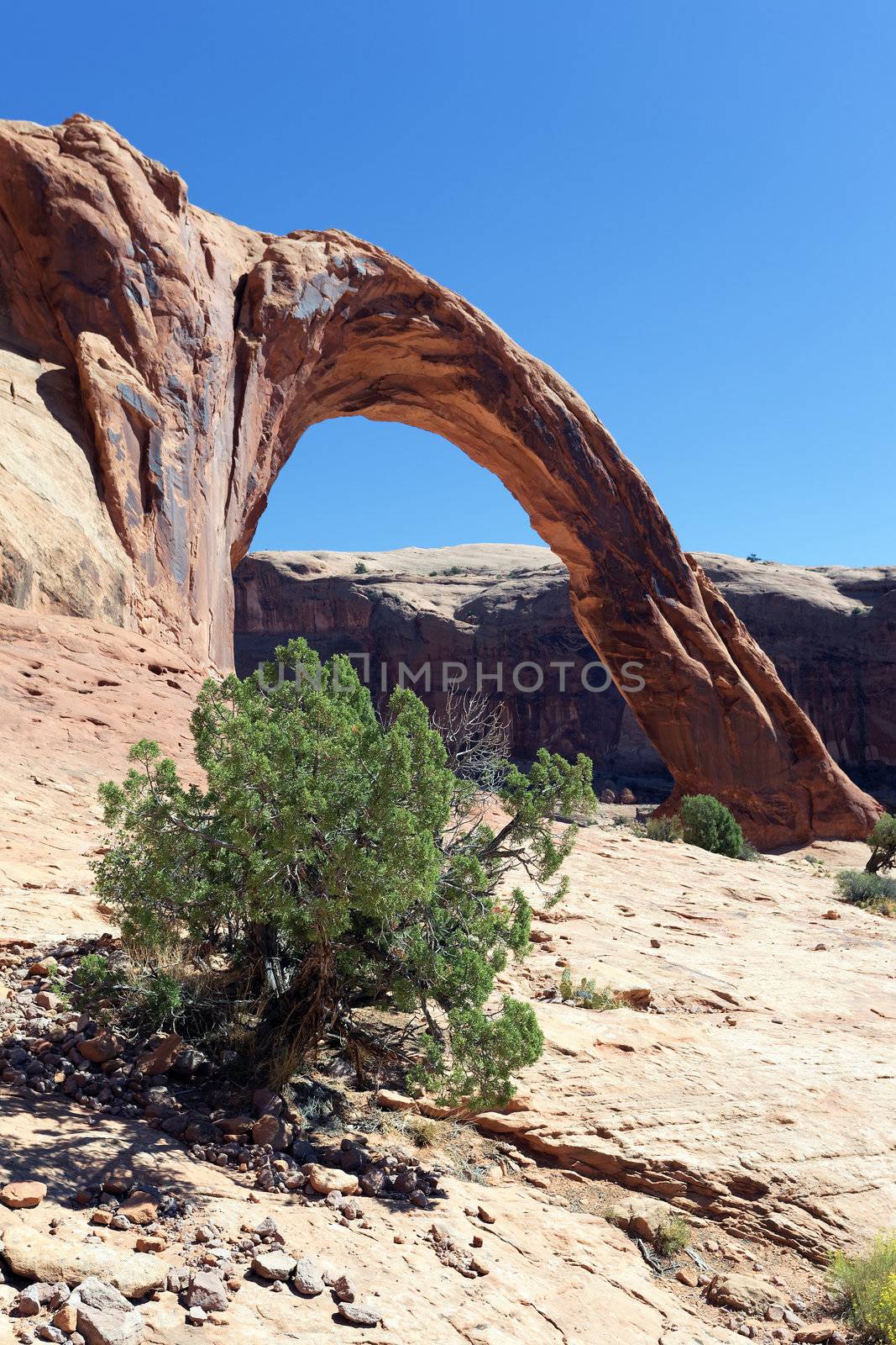 The famous Corona Arch in Southern Utah, USA