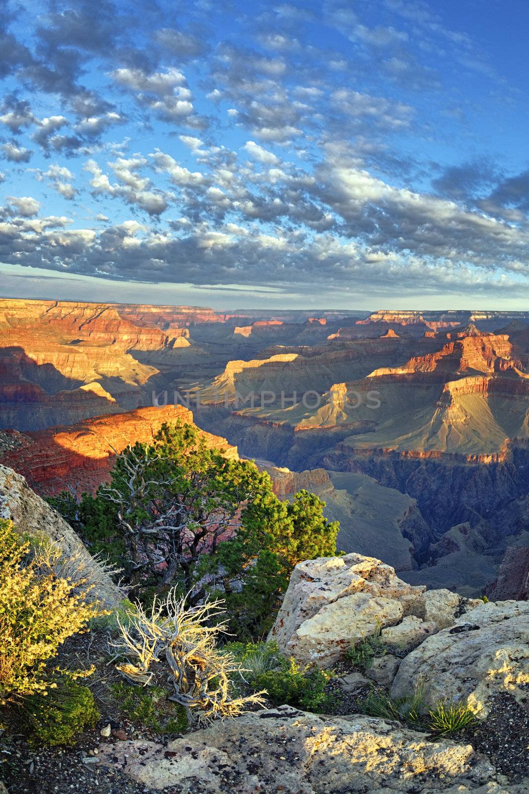 view of famous Grand Canyon at sunrise, USA