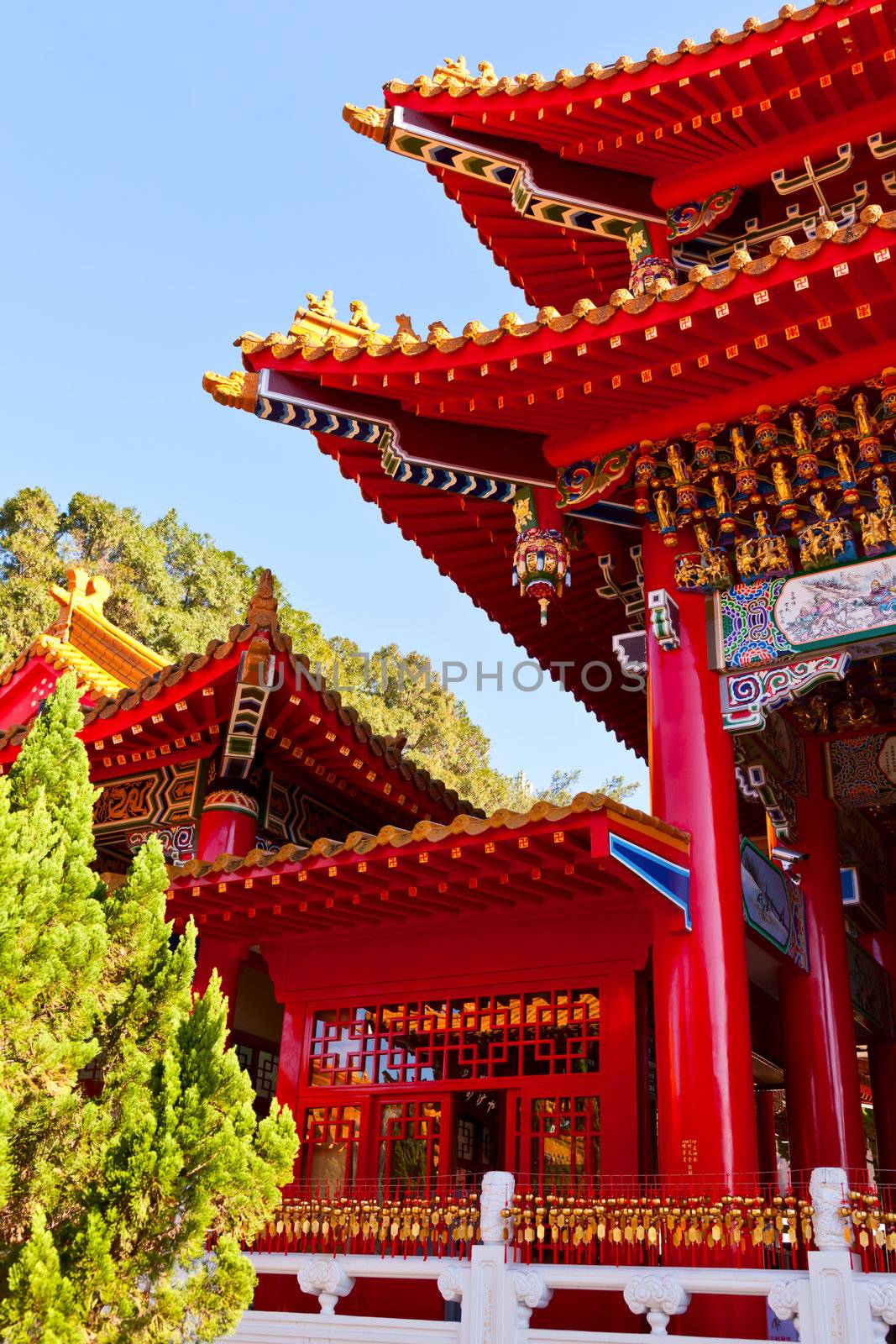 Detail of Wen wu Temple in Taiwan