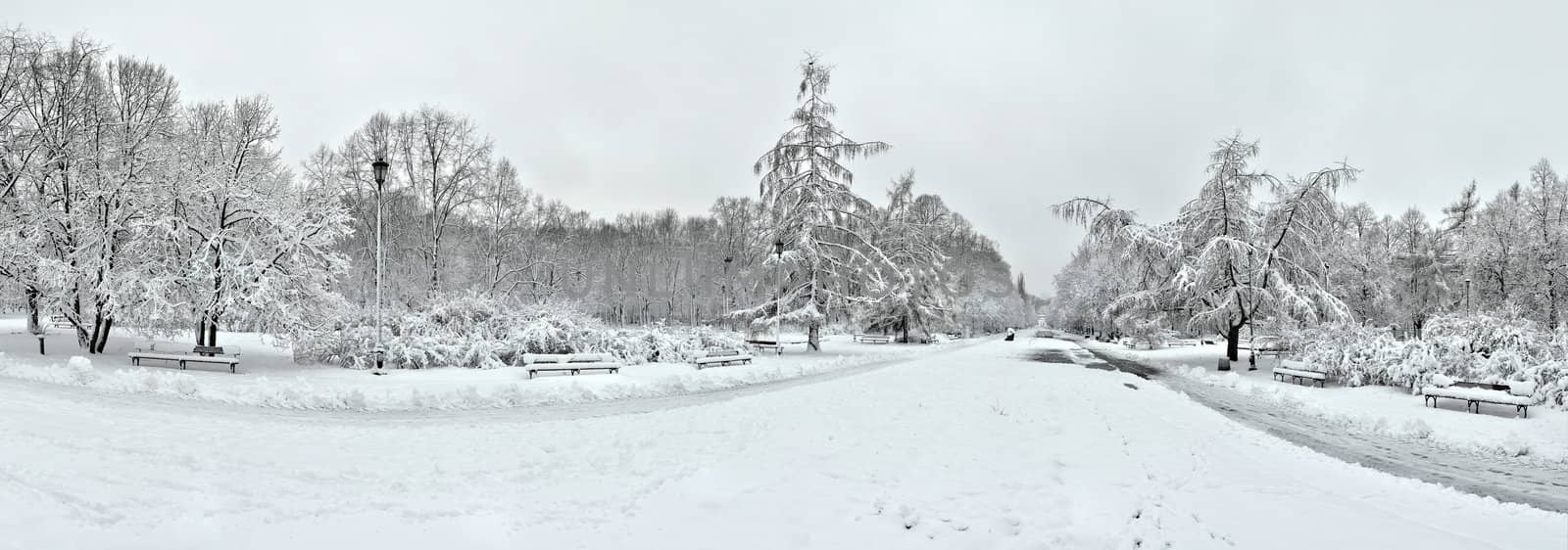 Panoramic view of park by Vectorex