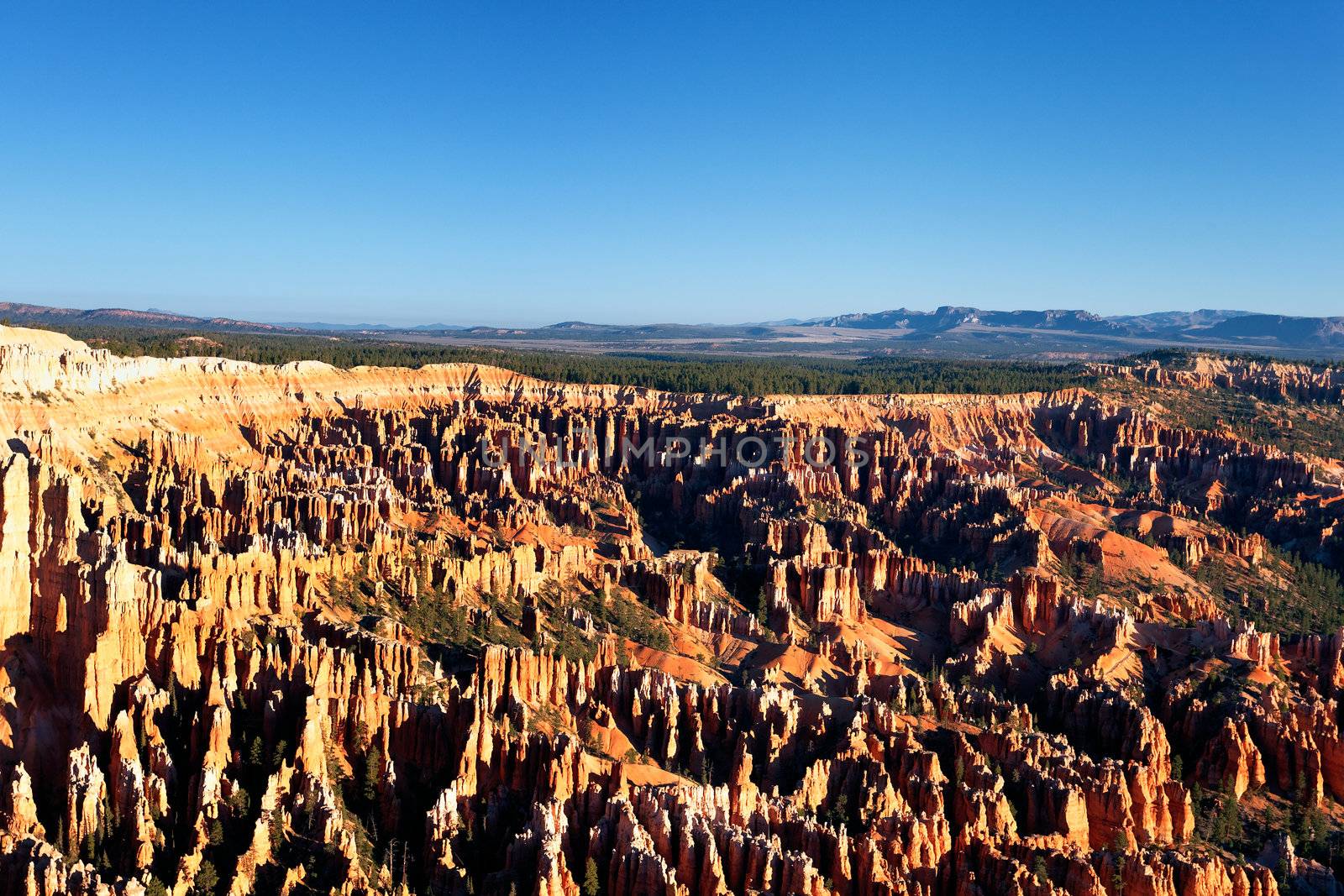famous amphitheater from Inspiration Point at sunrise, Bryce Canyon National Park, Utah, USA 