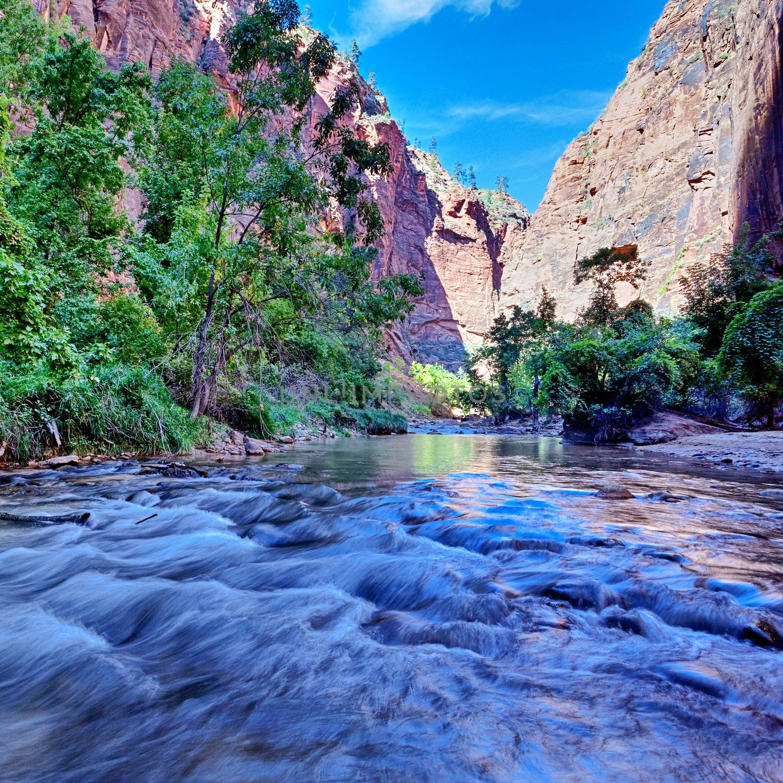 rapids of the Virgin River Narrows in Zion National Park - Utah 