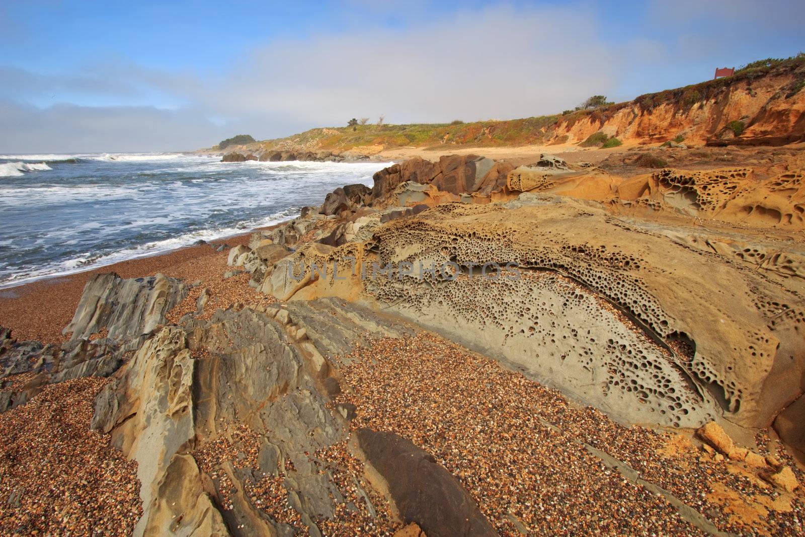 Pebble Beach and tafoni formations in Pigeon Point formation sandstone at Bean Hollow State Beach in San Mateo County, California against a blue sky and white clouds