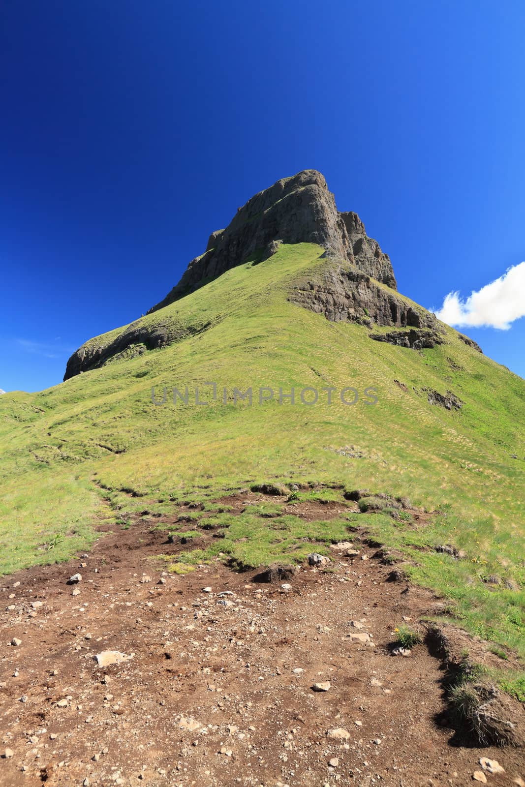 summer landscape of Italian Dolomites: Creipa Neigra, Canazei