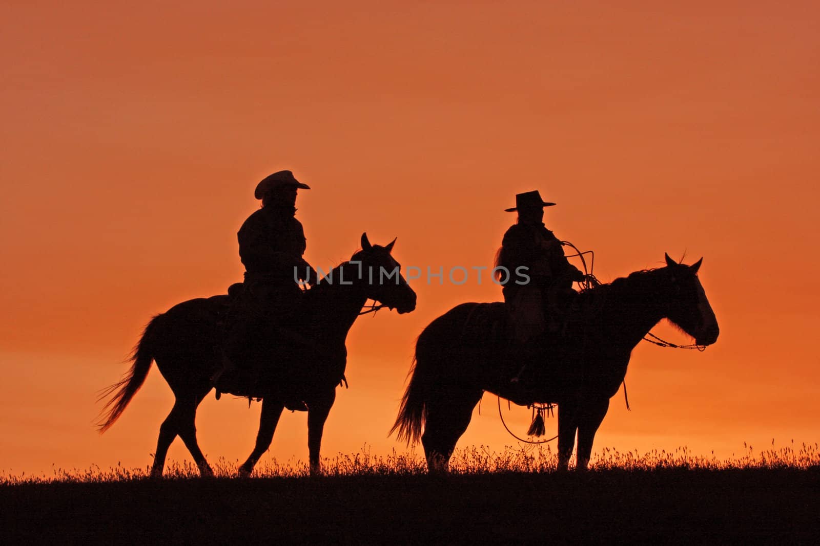 Silhouettes of cowboys on horseback at sunset by donya_nedomam