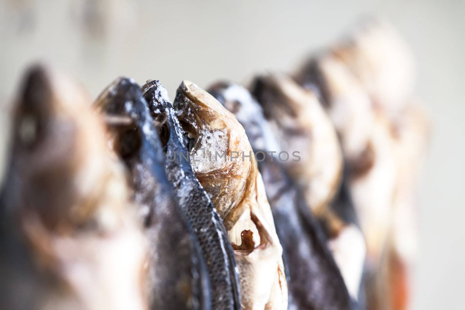 Salted dried river fish for sale. For beer. Russia