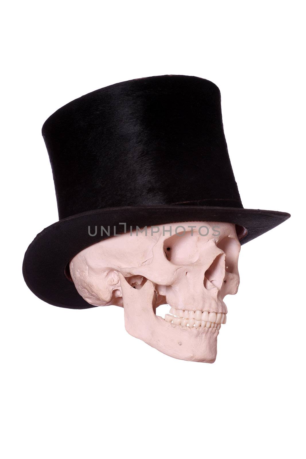 old hat on skull