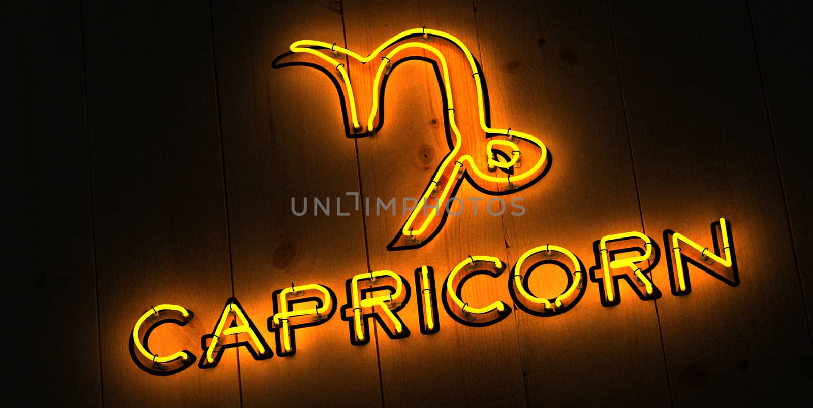 Capricorn Zodiac Sign in Neon by rossstudio