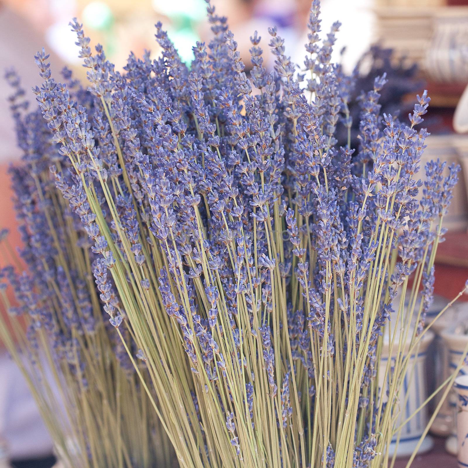 background of dried lavender flowers at the fair by jannyjus