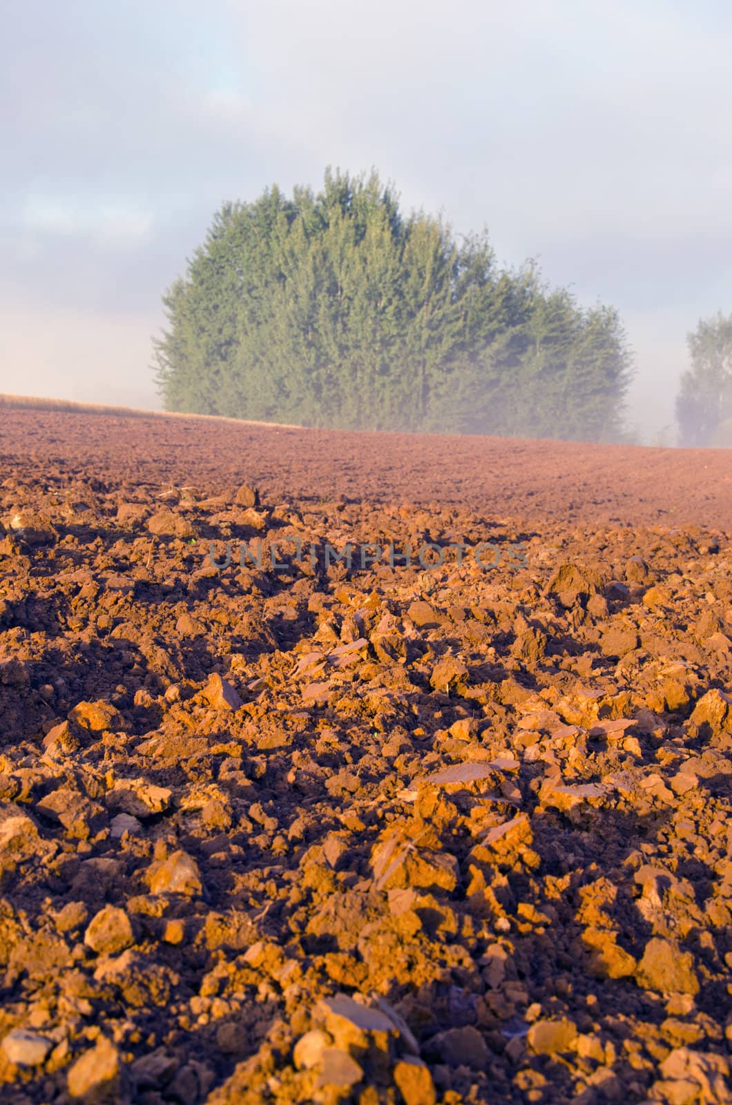 plowed farm field and early morning beautiful mist