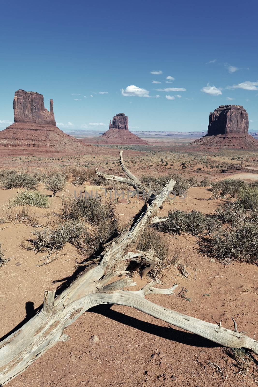 famous landscape of Monument Valley, vertical view