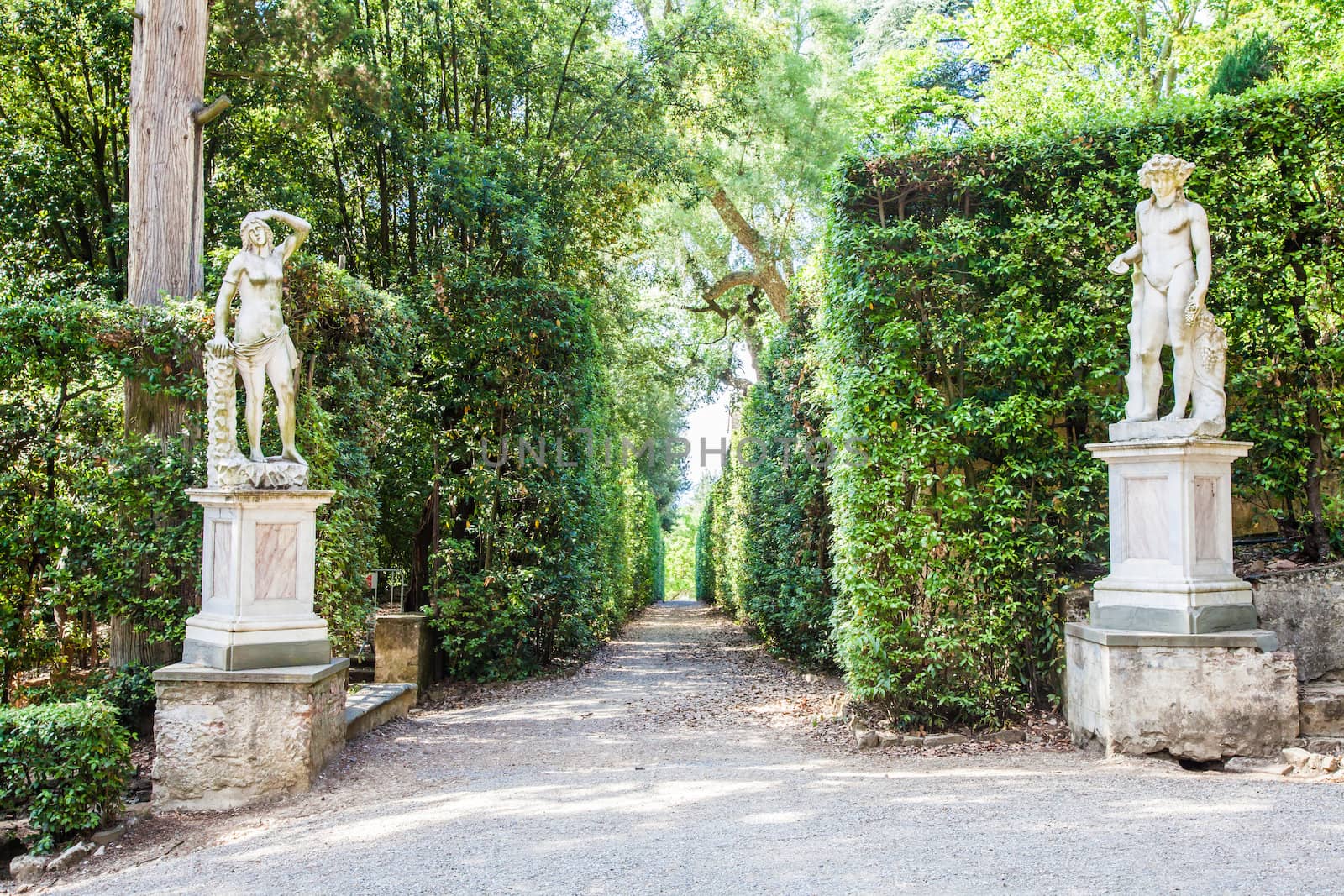 Florence, Italy. Old Boboli Gardens during a sunny day in summer season