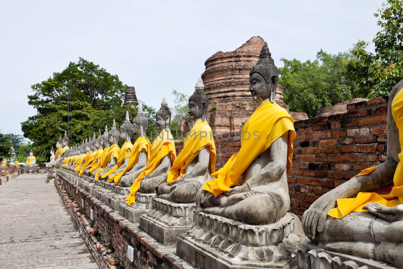 row of buddha image in wat yai chai mongkol, ayutthaya, thailand