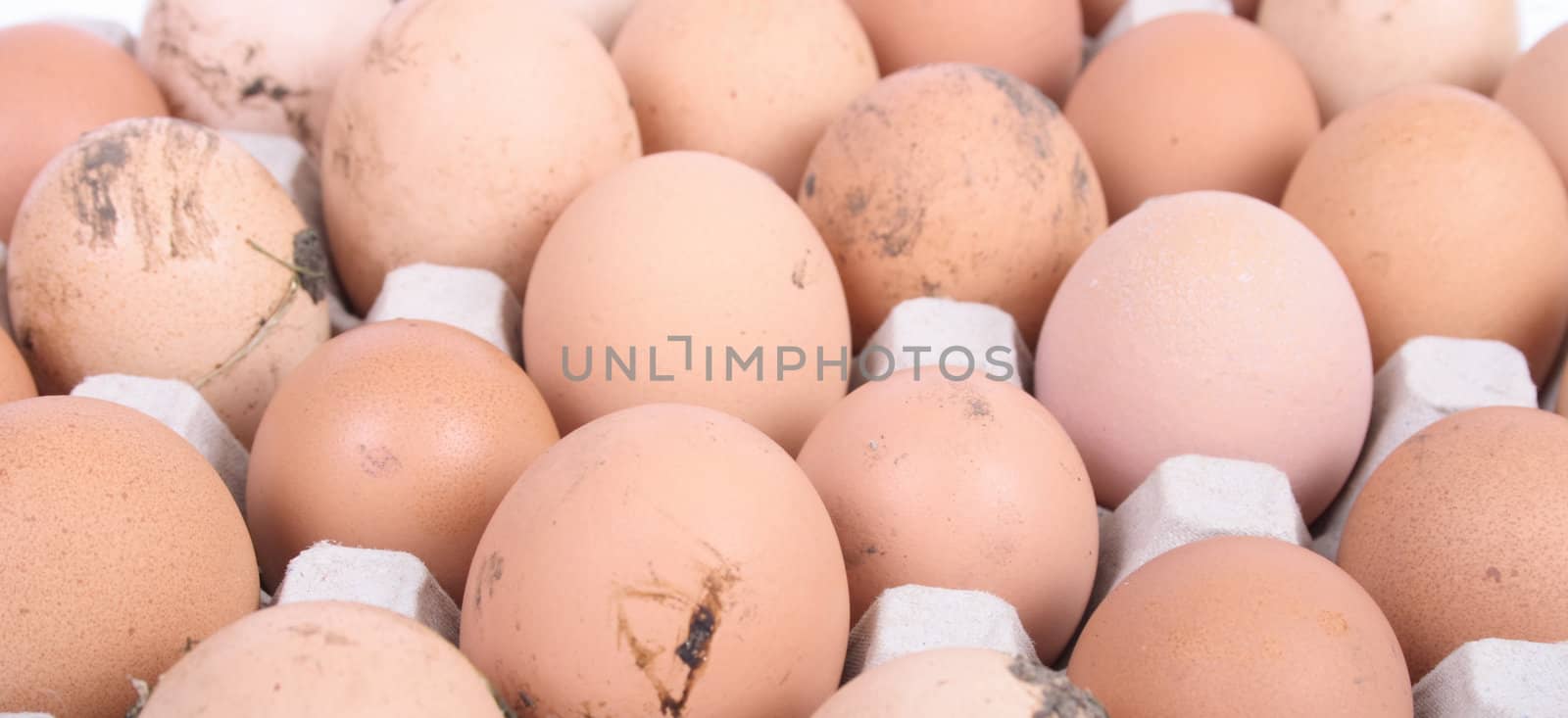 eggs background by jonnysek