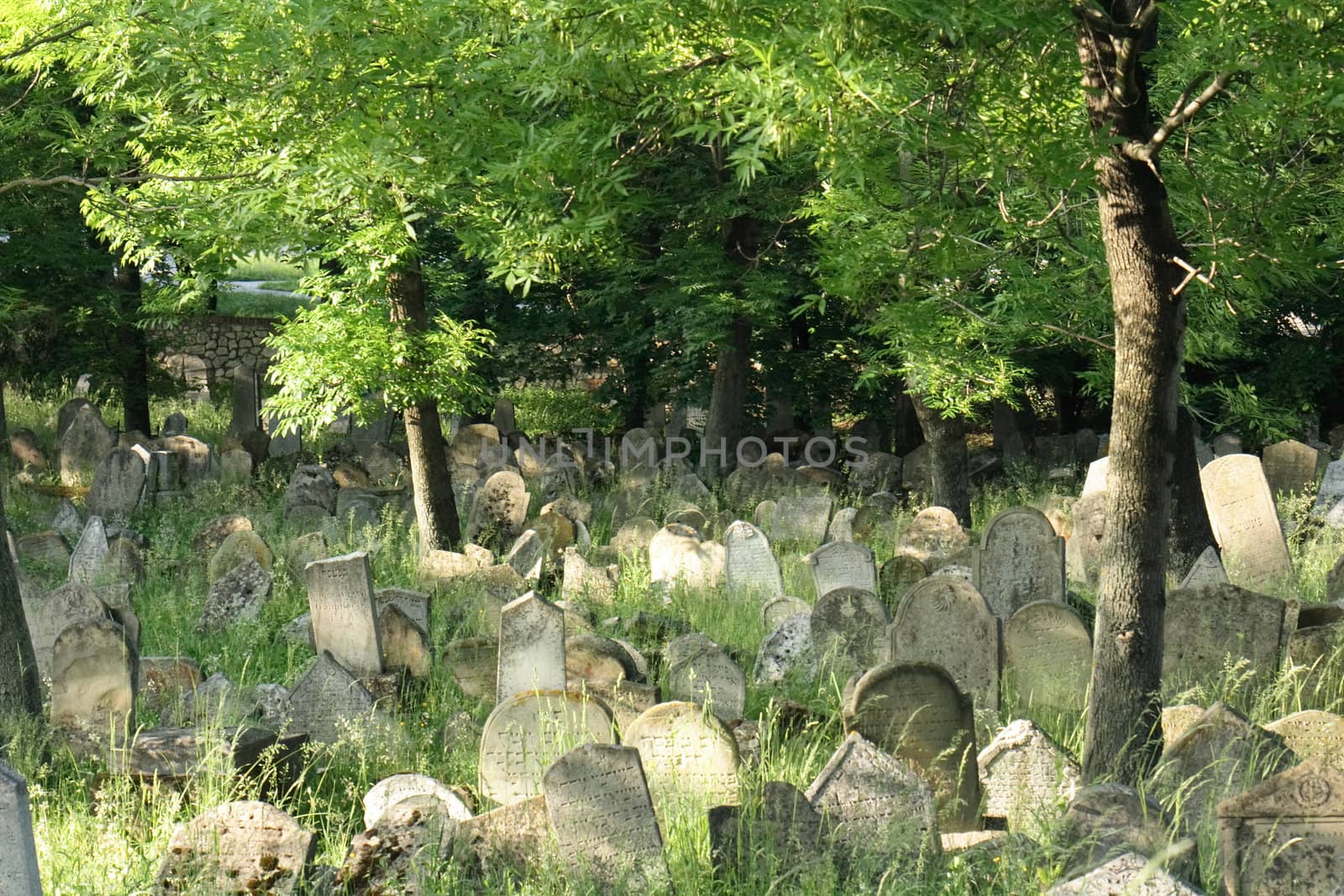 old jewish burial place in the czech repulic