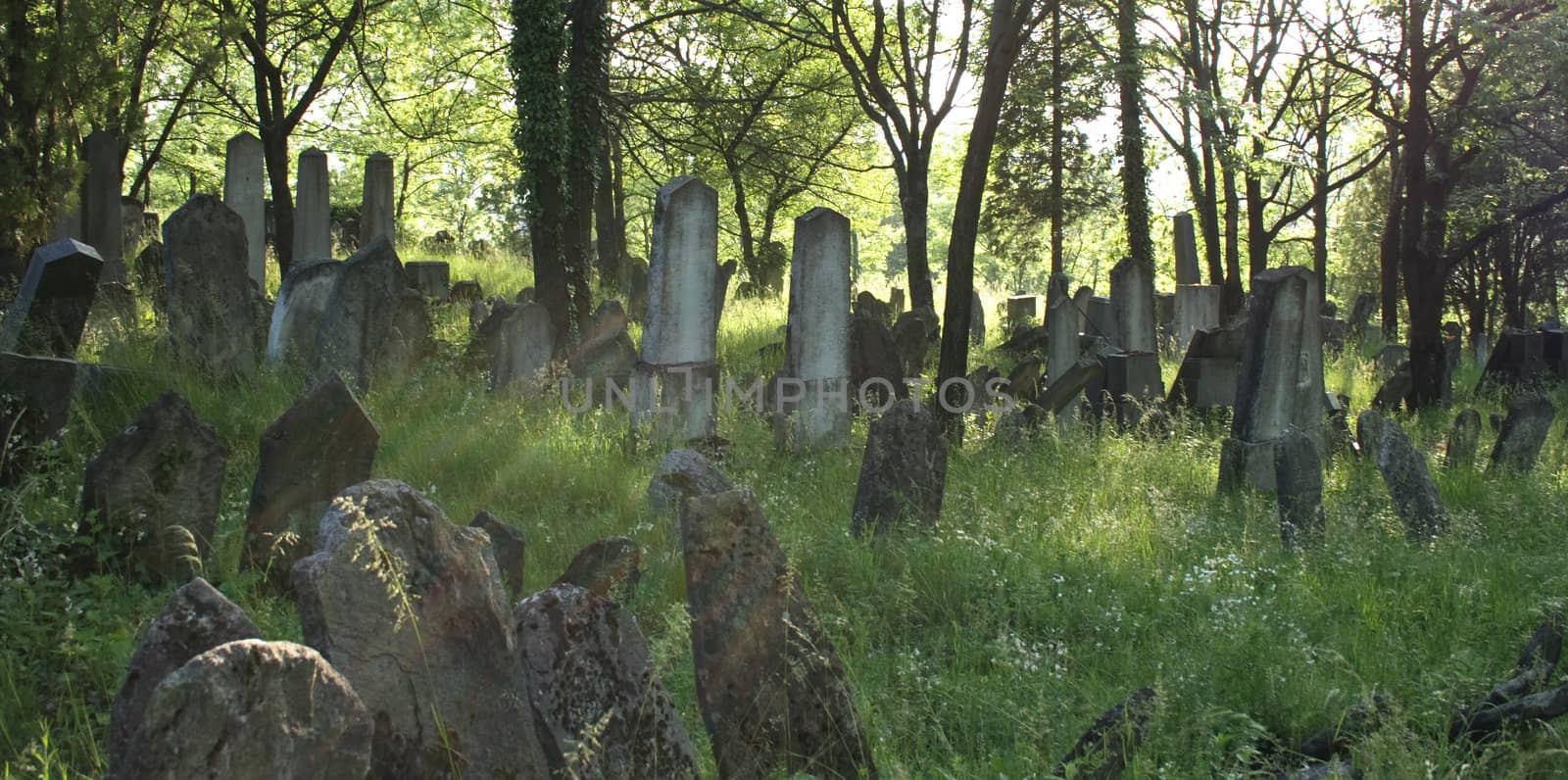 background from the old jewish burial place