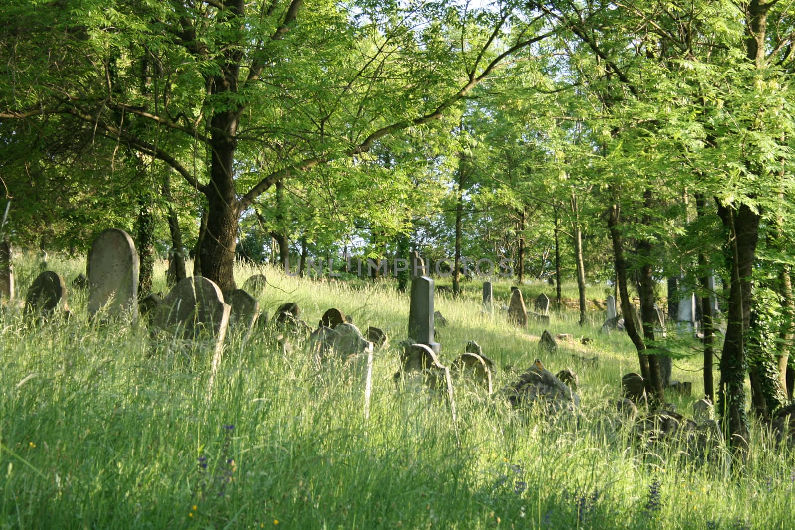 old jewish burial place in the czech republic