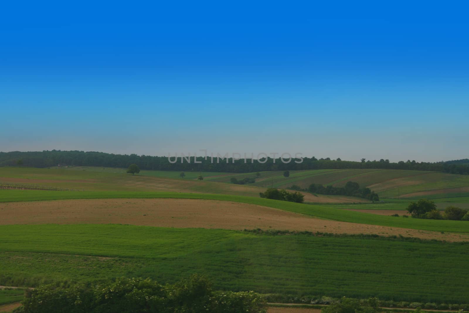 czech country with green grass and blue sky 