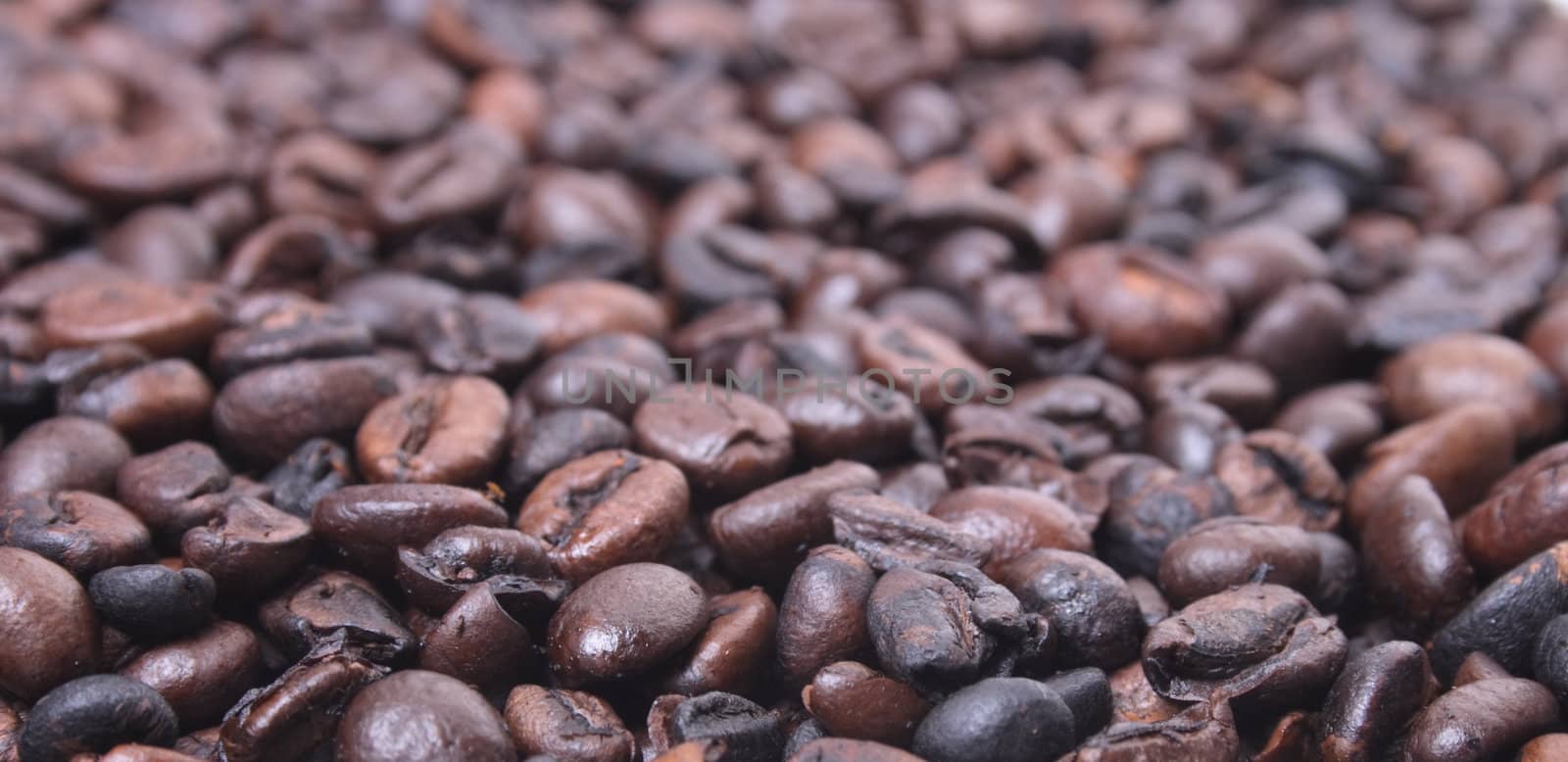 fresh natural coffea background from the  coffea seeds