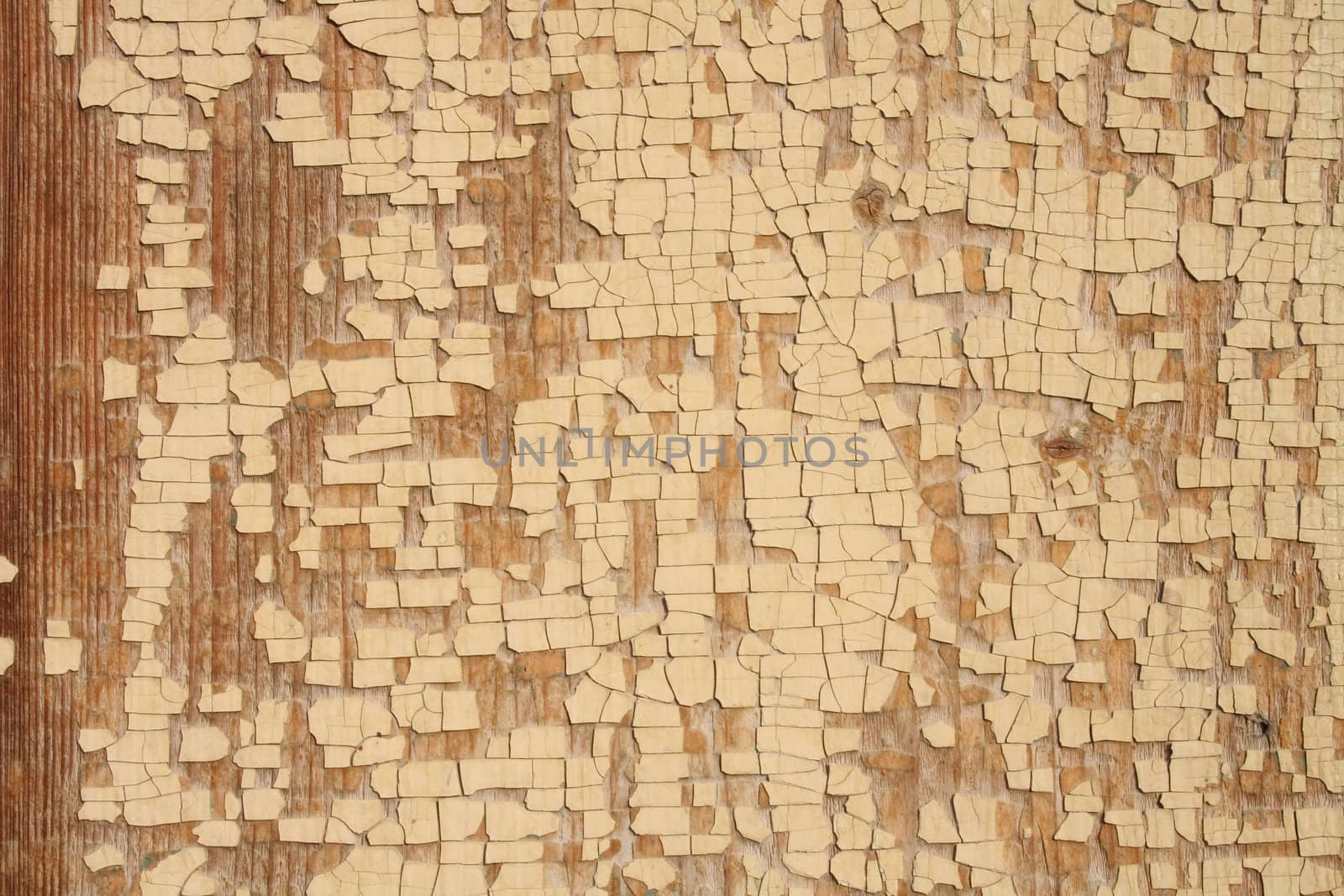 very old historical background (wood and white surface) 