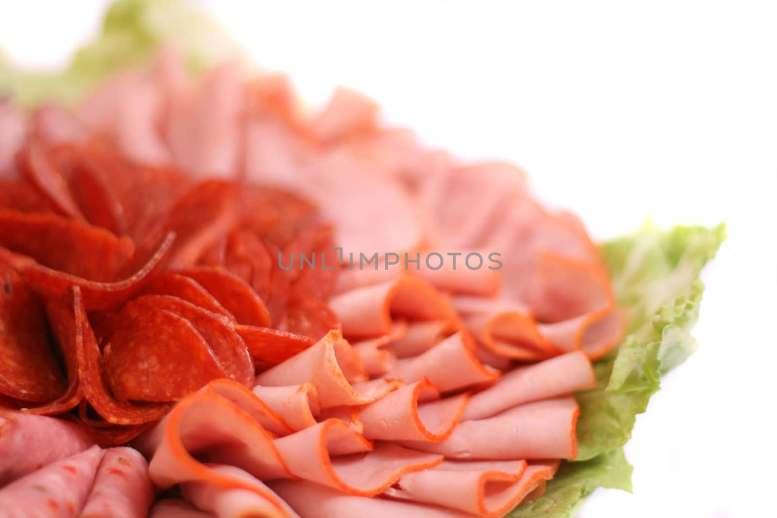 salami and lettuce on the white background