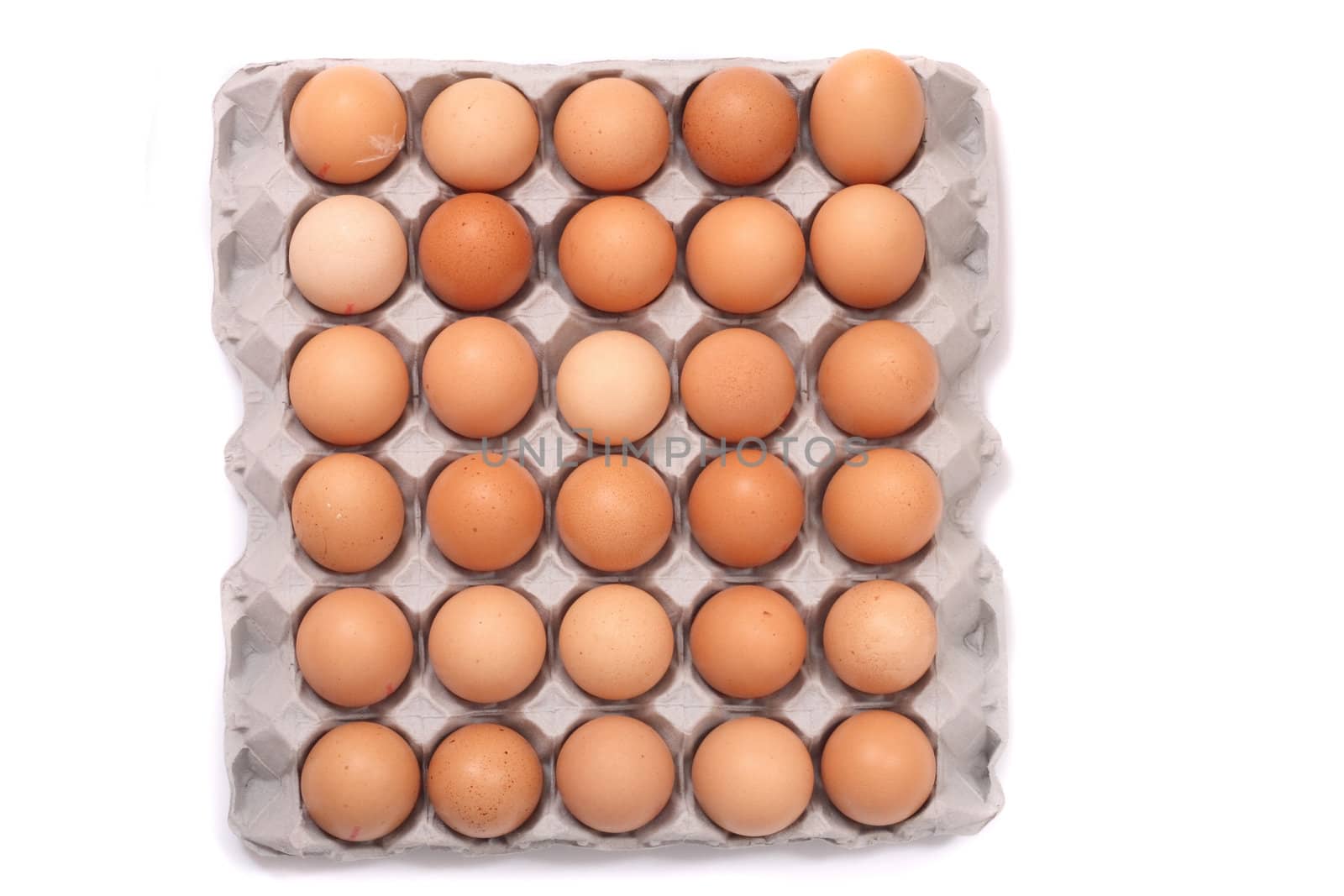 30 brown eggs on the white background