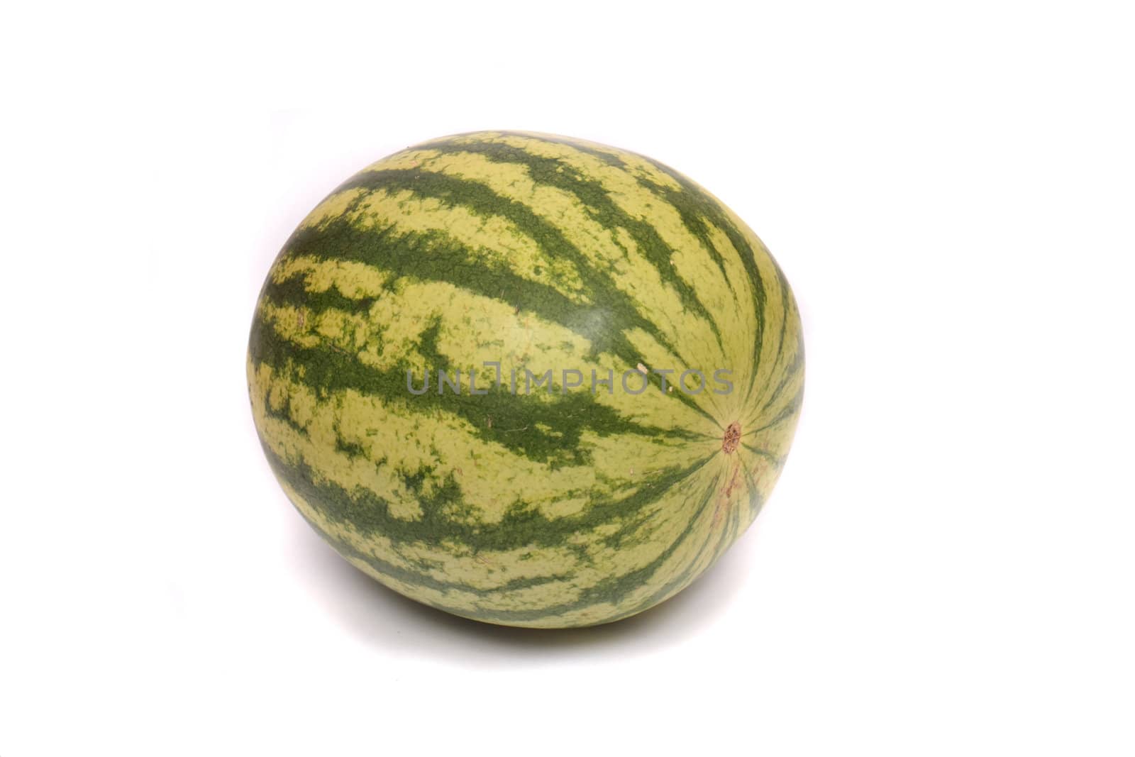 fresh green melon on the white background 