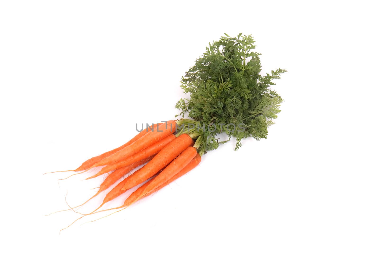 fresh orange carrot on the white background