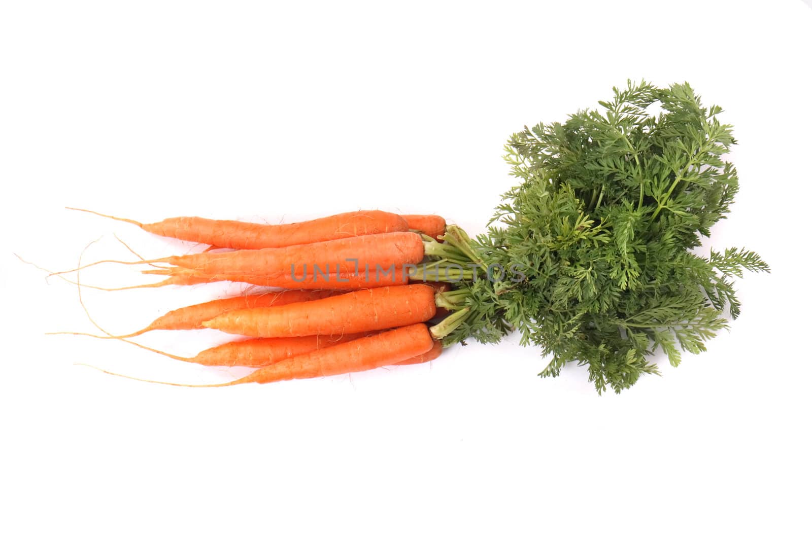 fresh orange carrot on the white background