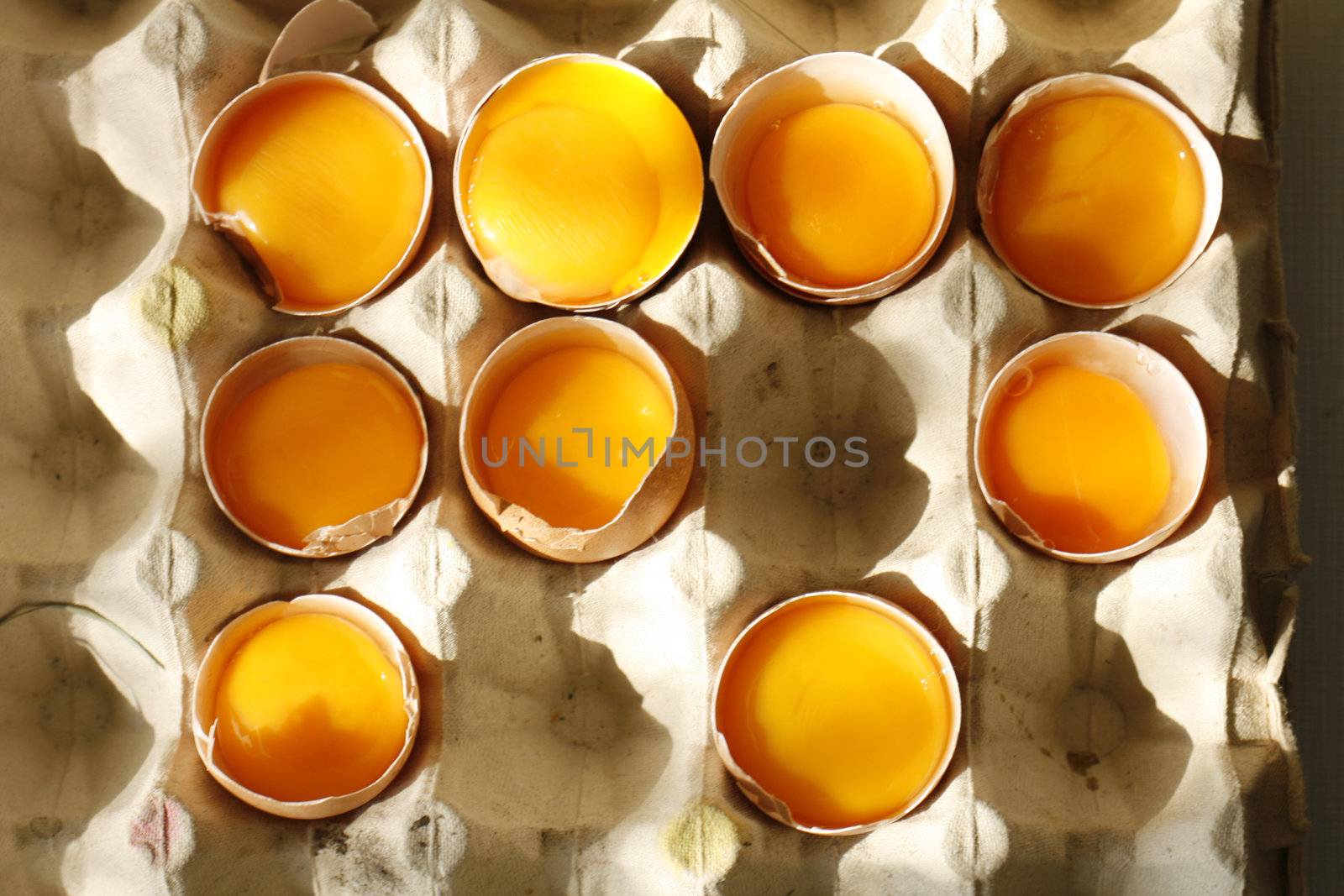 detail of open eggs (natural cooking background)