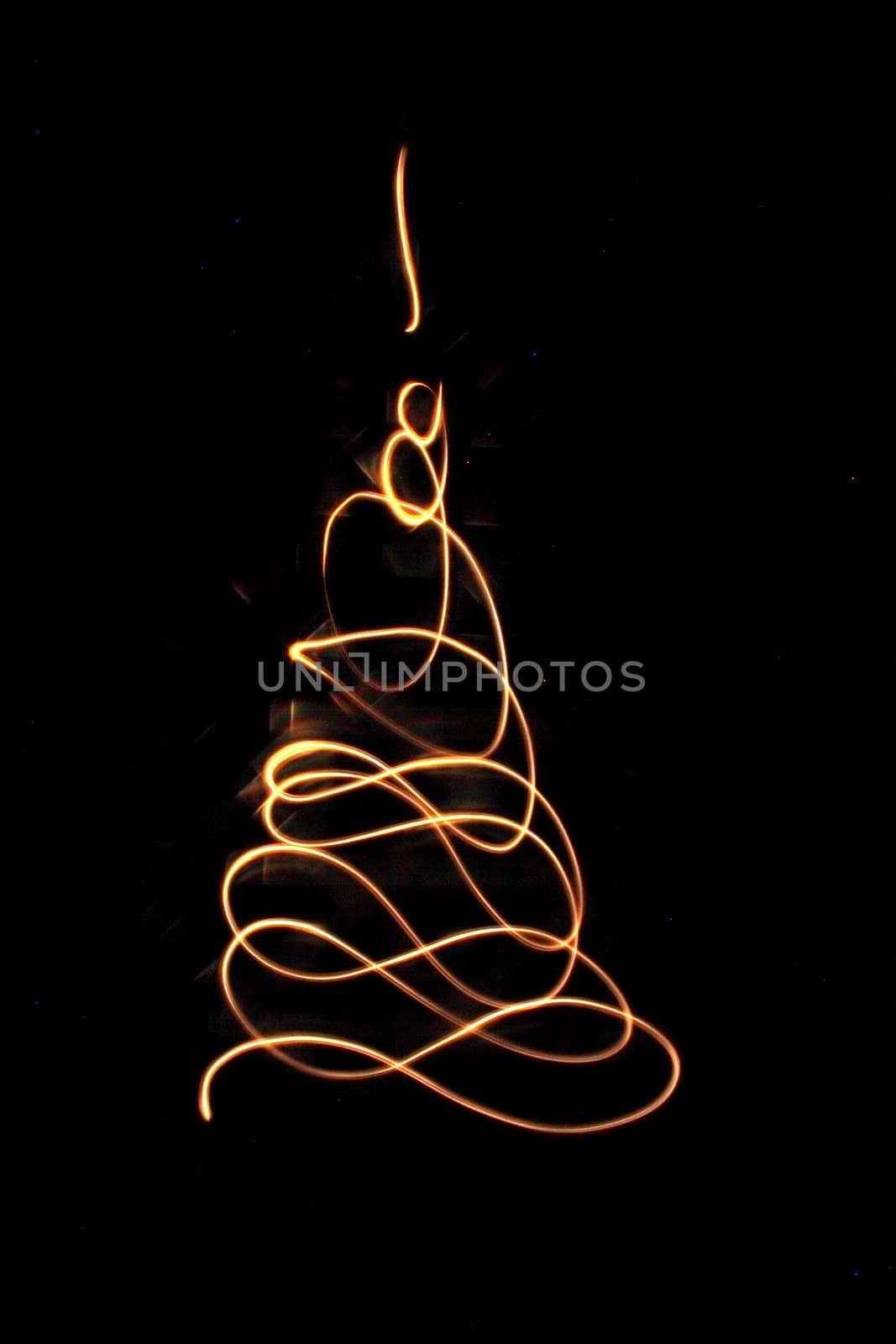 xmas tree isolated on the black background